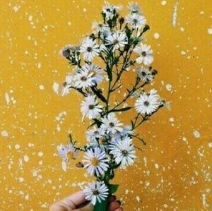 Not for sale! Read description!